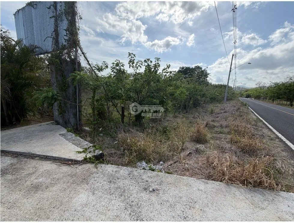 SE VENDE  FINCA EN VIA ALTOS DE MARIA  30 HECTÁREAS SOBRE VIA ASFALTO