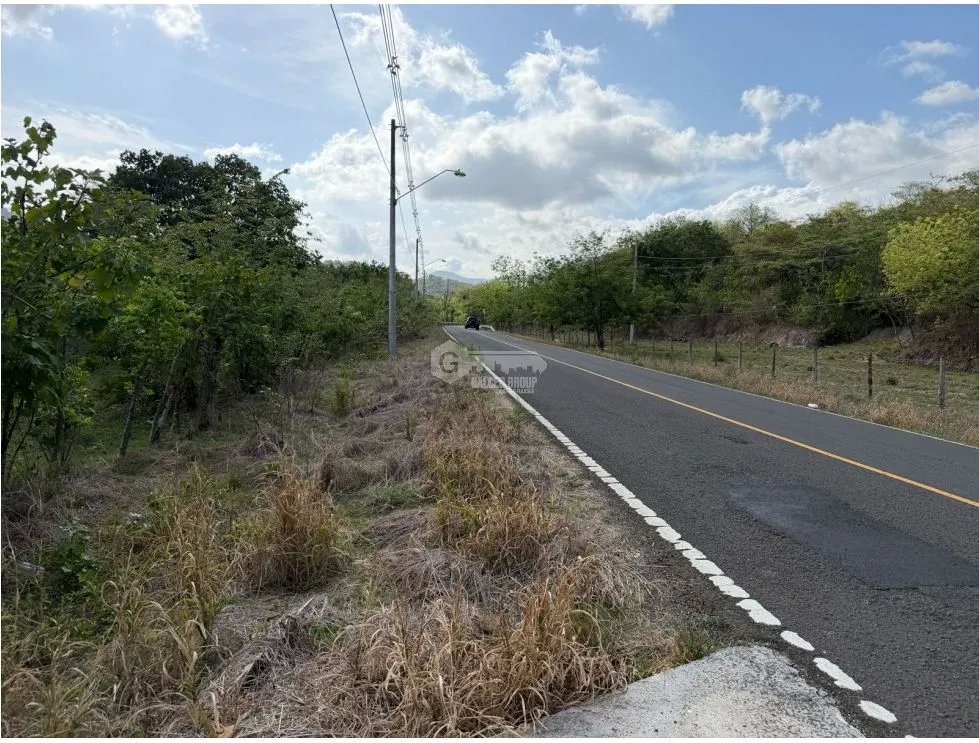 SE VENDE  FINCA EN VIA ALTOS DE MARIA  30 HECTÁREAS SOBRE VIA ASFALTO