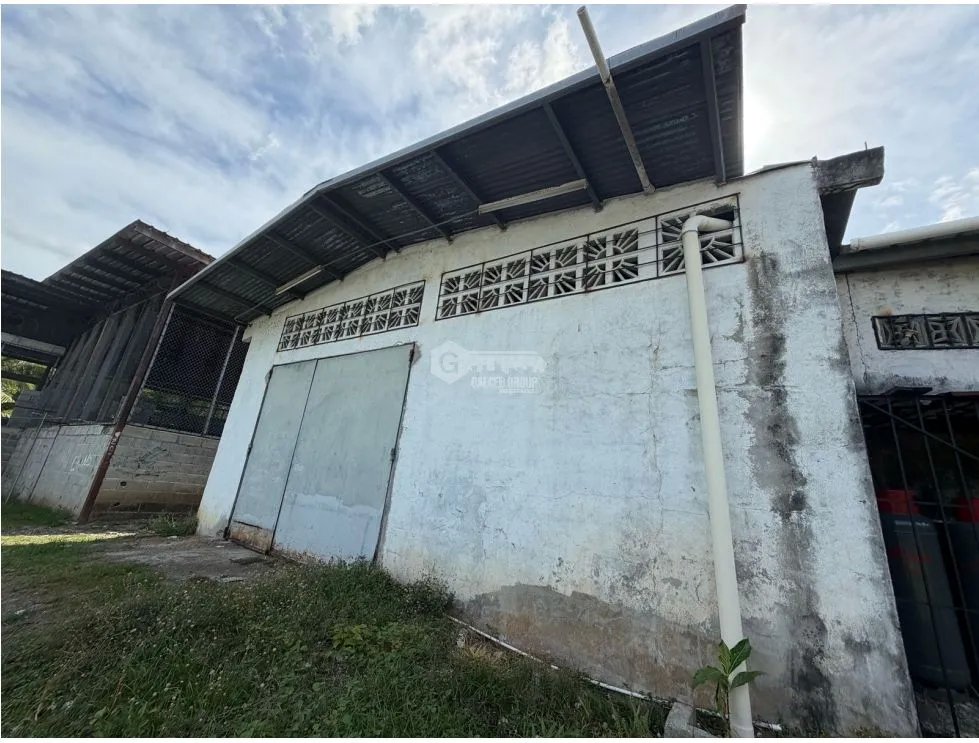 LOCAL COMERCIAL / CHAME / BEJUCO / 240 M2 / EN LA INTERAMERICANA