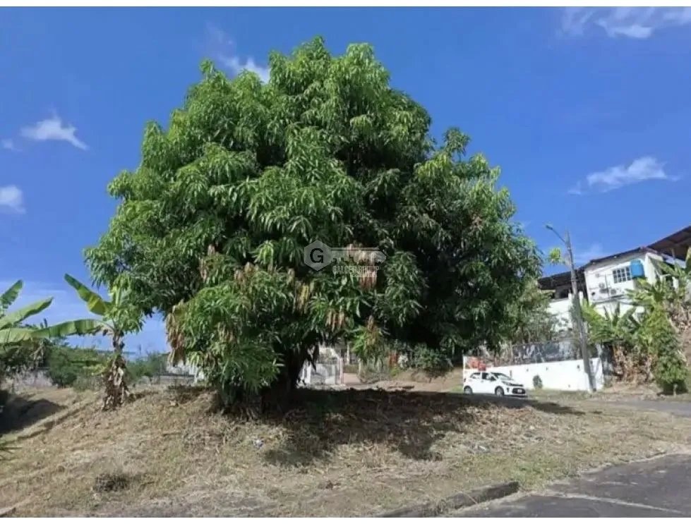 SE VENDE TERRENO EN VILLA ZAITA VILLAS ALPINAS DE 608M PLANO