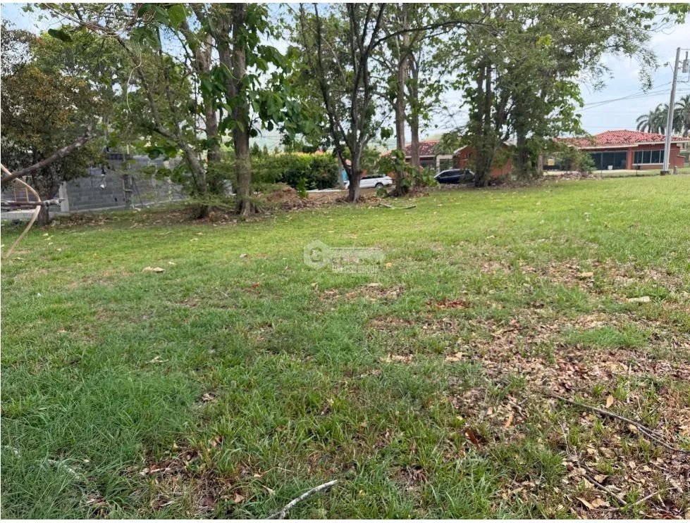 TERRENO / CHAME / 960 M2 / LA COLONIA / LOTE PLANO CON GARITA