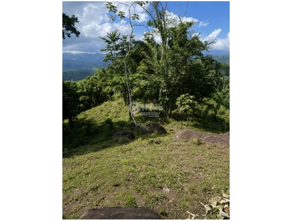 SE VENDE FINCA DE 26 HECTAREA UBICADA EN EL CACAO CAPIRA NEGOCIABLE