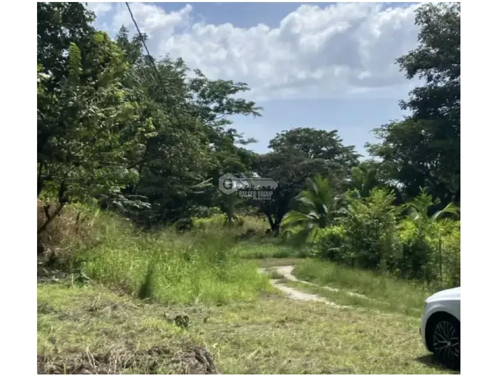 Building Lot for sale in San Carlos
