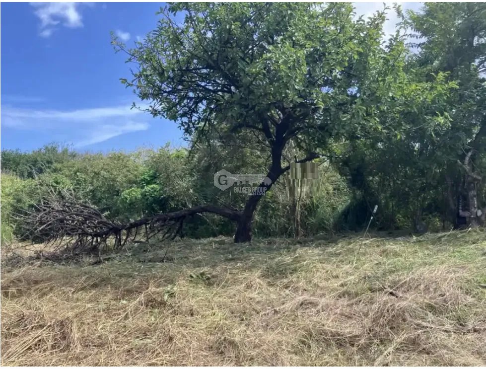 Building Lot for sale in San Carlos