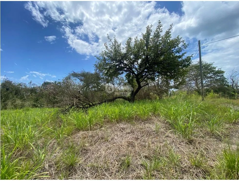 Building Lot for sale in San Carlos