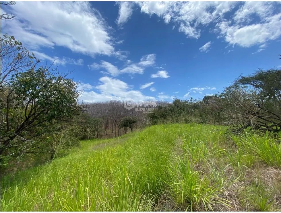 Building Lot for sale in San Carlos