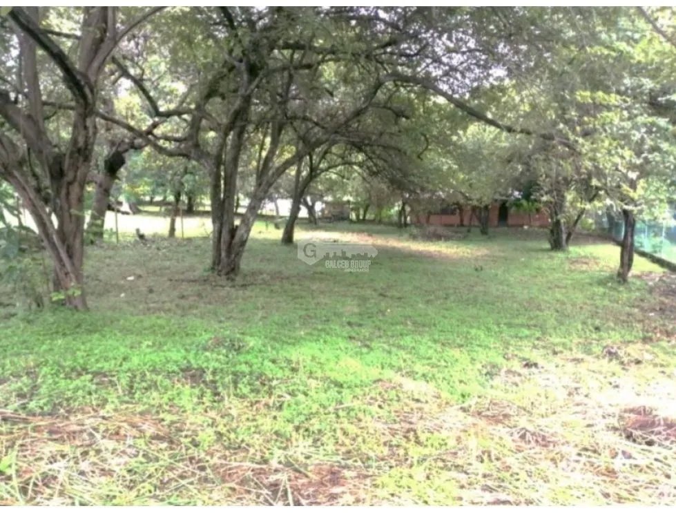 TERRENO / NUEVA GORGONA / 945 M2 / IDEAL PARA PROYECTO RESIDENCIAL