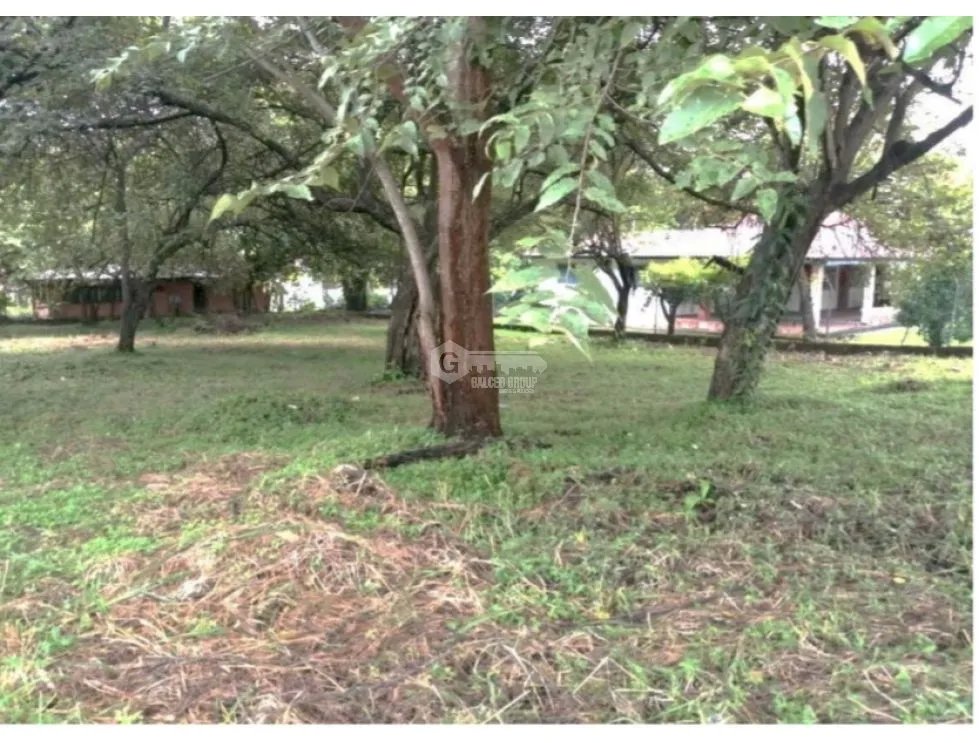 TERRENO / NUEVA GORGONA / 945 M2 / IDEAL PARA PROYECTO RESIDENCIAL