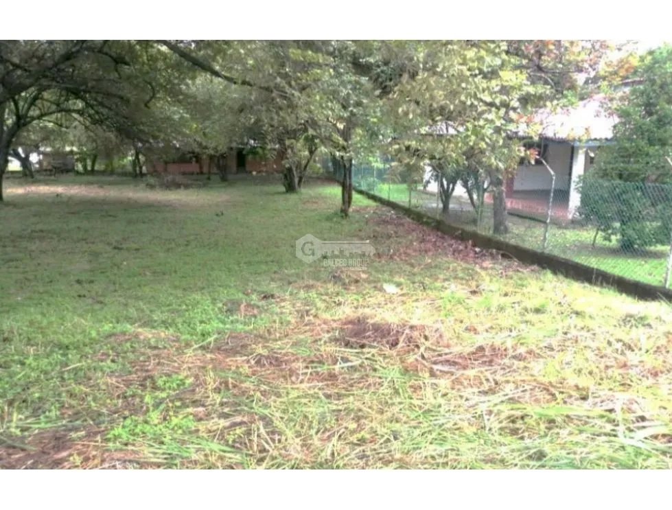 TERRENO / NUEVA GORGONA / 945 M2 / IDEAL PARA PROYECTO RESIDENCIAL