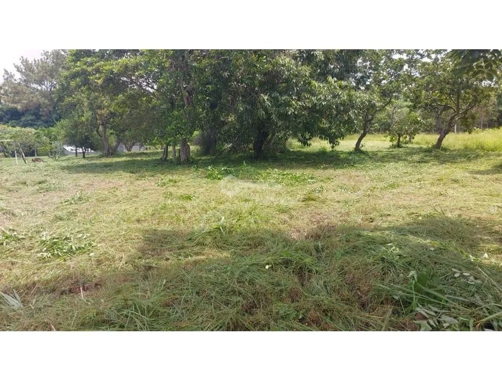 TERRENO / CORONADO / 1,198 M2 / LOTE PLANO / DENTRO DEL CLUB
