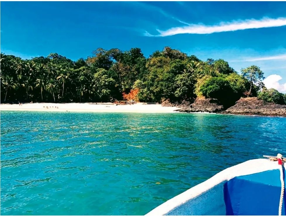 SE VENDE ISLA COMPLETA EN EL  GOLFO DE CHIRIQUI  DE 8 HECTAREAS