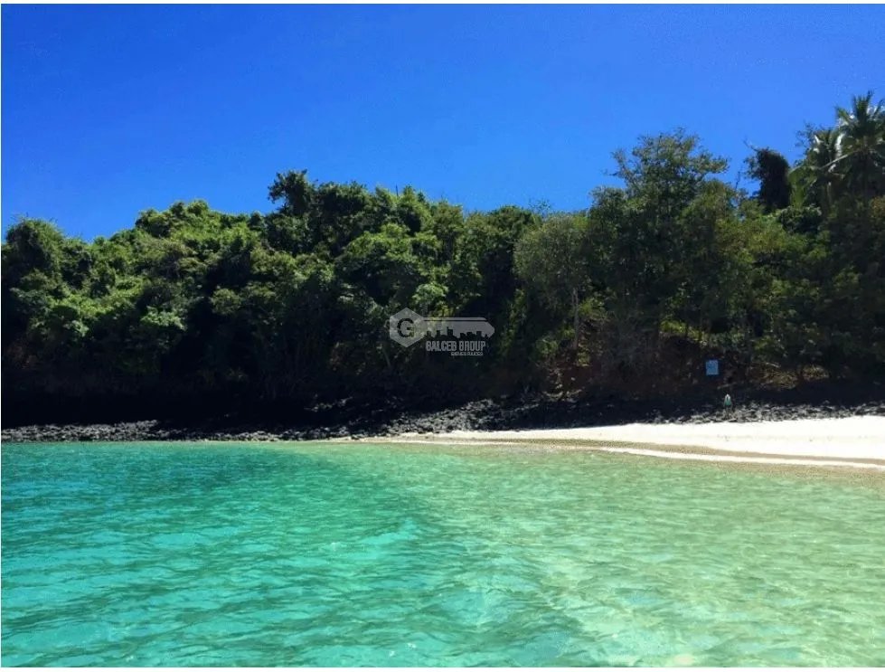 SE VENDE ISLA COMPLETA EN EL  GOLFO DE CHIRIQUI  DE 8 HECTAREAS