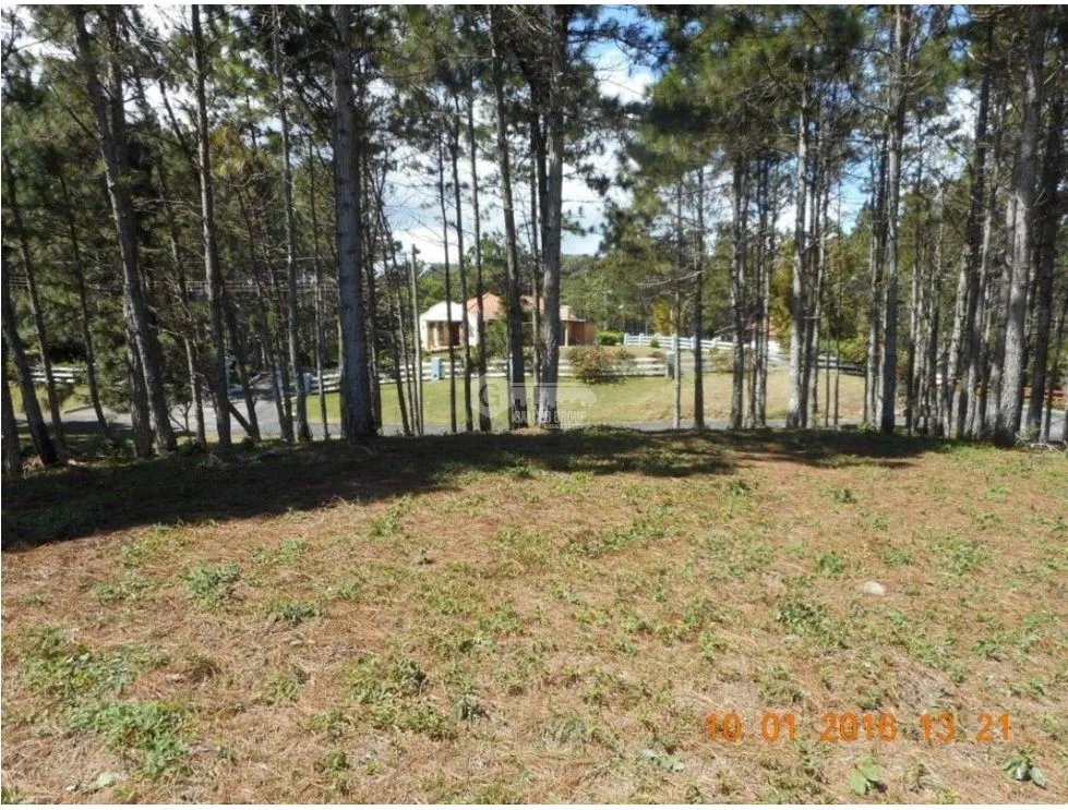 CHAME / SORÁ / ALTOS DEL MARIA / 2497 M2 / LOTE PLANO
