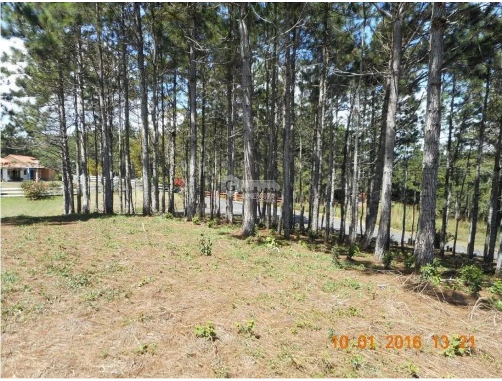 CHAME / SORÁ / ALTOS DEL MARIA / 2497 M2 / LOTE PLANO