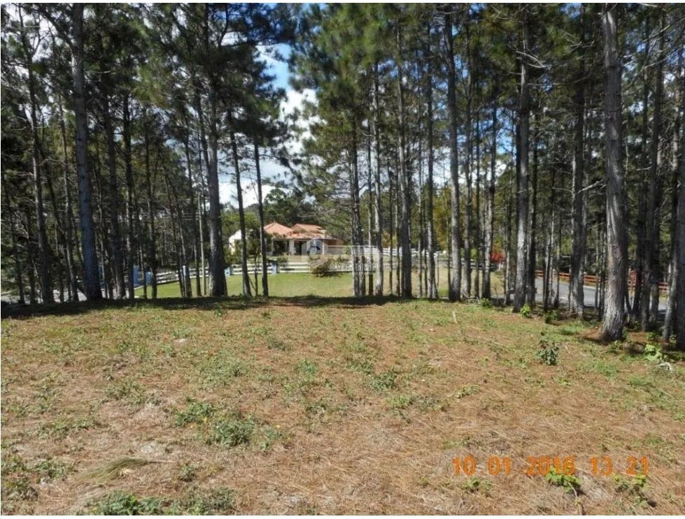 CHAME / SORÁ / ALTOS DEL MARIA / 2497 M2 / LOTE PLANO