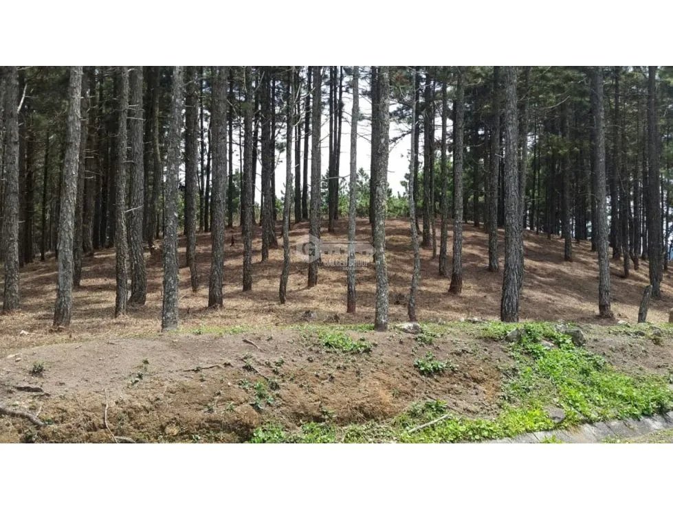 CHAME / SORÁ / ALTOS DEL MARIA / 2497 M2 / LOTE PLANO