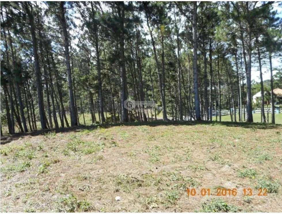 CHAME / SORÁ / ALTOS DEL MARIA / 2497 M2 / LOTE PLANO