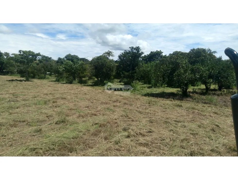 TERRENO / CORONADO / 37,789M2 / DENTRO DE LA GARITA / BOULEVARD