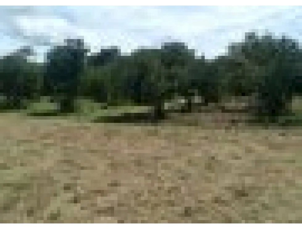 TERRENO / CORONADO / 37,789M2 / DENTRO DE LA GARITA / BOULEVARD