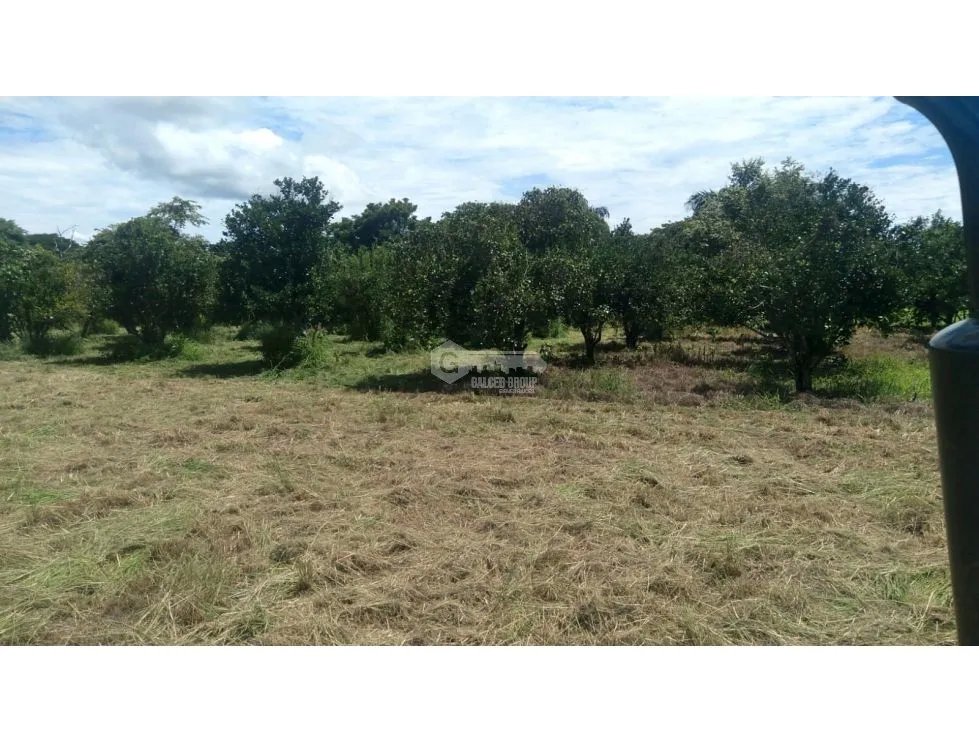 TERRENO / CORONADO / 37,789M2 / DENTRO DE LA GARITA / BOULEVARD