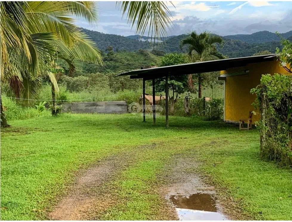 Single Family House for sale in Colon