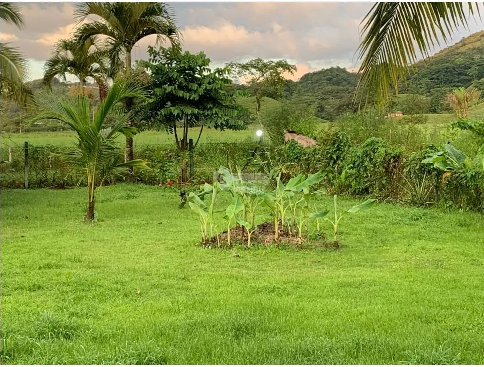 Single Family House for sale in Colon