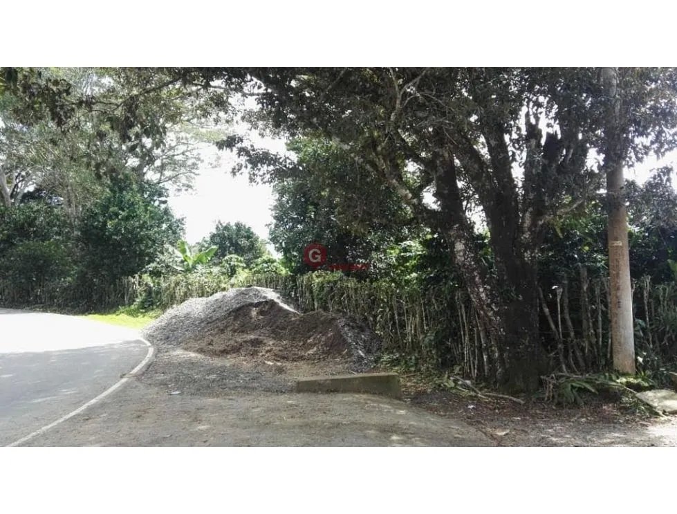 FINCA / 1 HECTAREA / PALMIRA ABAJO / BOQUETE / CHIRIQUI