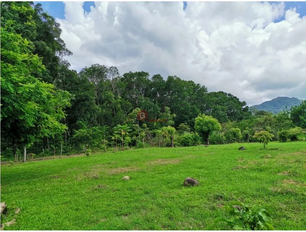CHAME / FINCA EN BEJUCO / 10 HECTAREAS / CERCA DE LA INTERAMERICANA