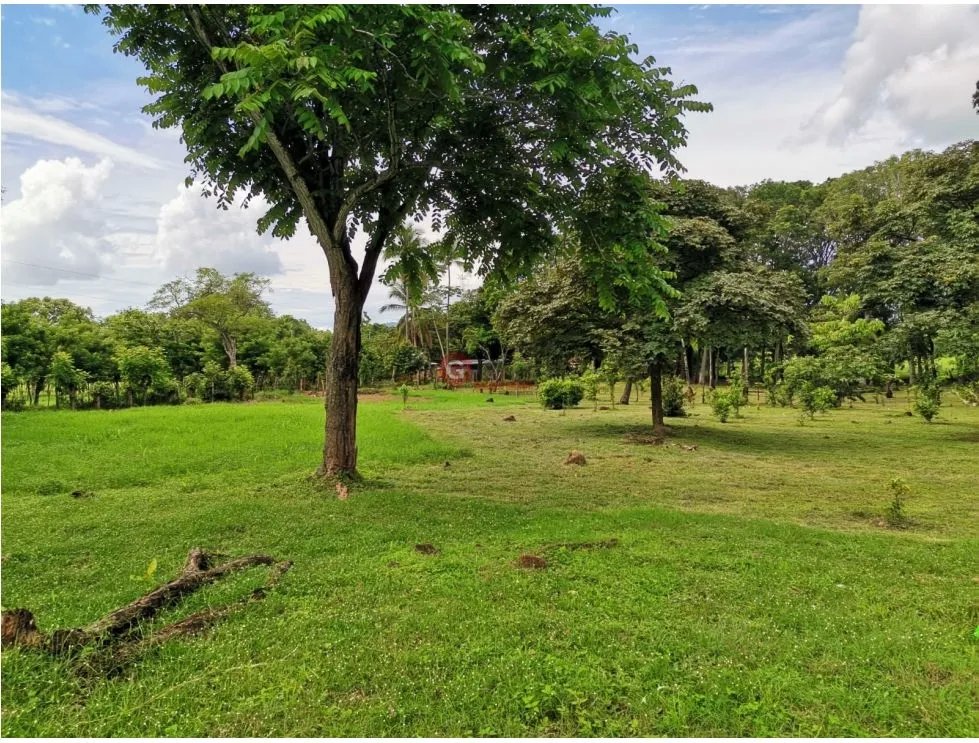 CHAME / FINCA EN BEJUCO / 10 HECTAREAS / CERCA DE LA INTERAMERICANA