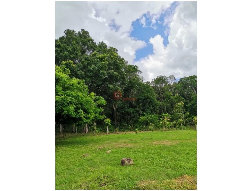 CHAME / FINCA EN BEJUCO / 10 HECTAREAS / CERCA DE LA INTERAMERICANA