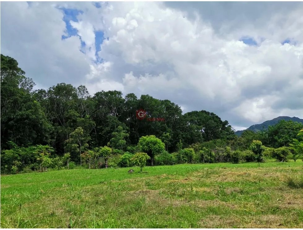 CHAME / FINCA EN BEJUCO / 10 HECTAREAS / CERCA DE LA INTERAMERICANA