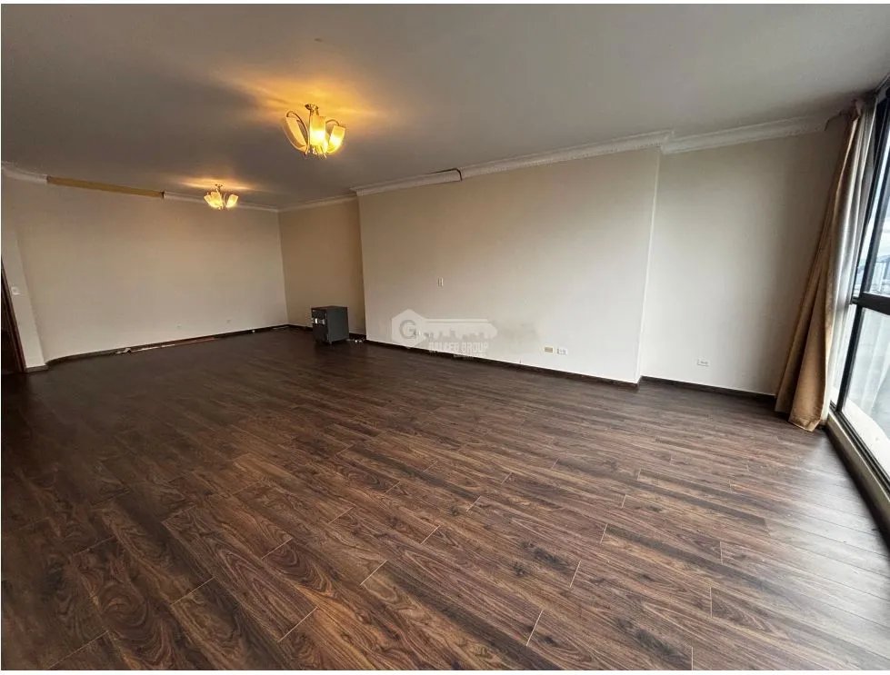 PENTOUSE EN PAITILLA / GOLDEN PALACE / 700M2 /  VISTA AL MAR