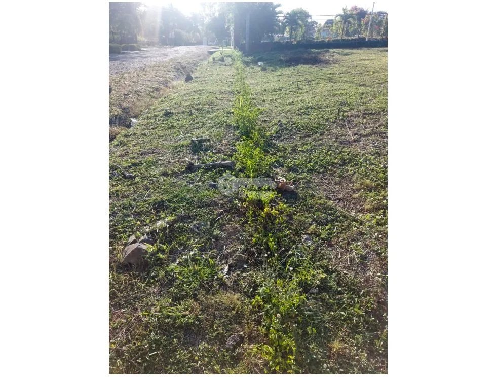 TERRENO / DENTRO DE CORONADO / AVE. BOULEVARD / 1500m2