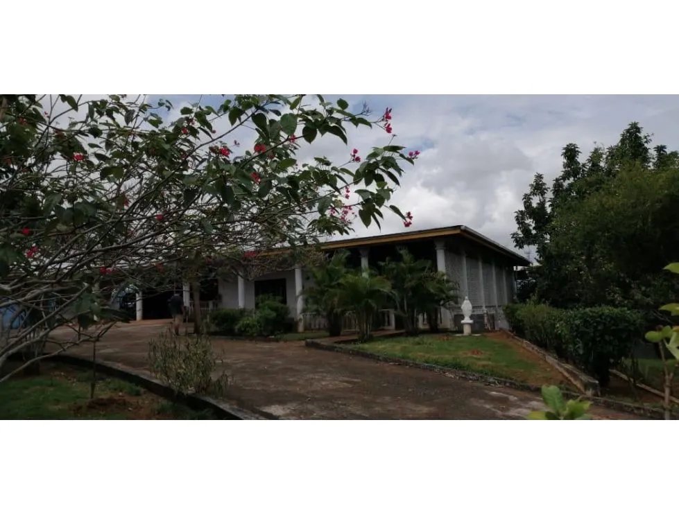 CHEPO / LA HIGUERA / 2396M2 / 4 HAB / BOHIO / BAR / PISCINA / TERRAZA