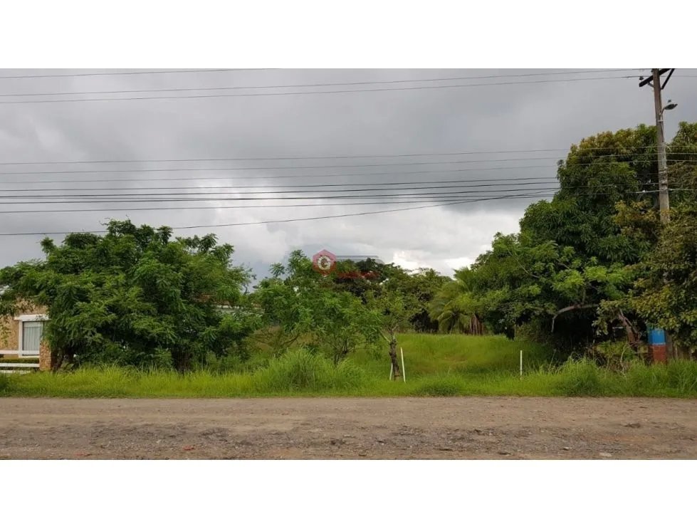 TERRENO / CORONADO / AVE. BOULEVARD / 1000m2 / NEGOCIABLE