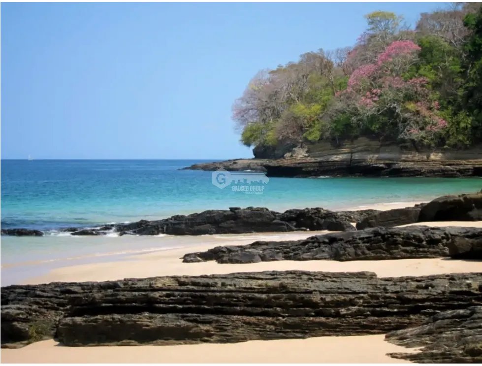ARCHIPELAGO DE LAS PERLAS / ISLA SABOGA / FRENTE AL MAR / 2000 M2