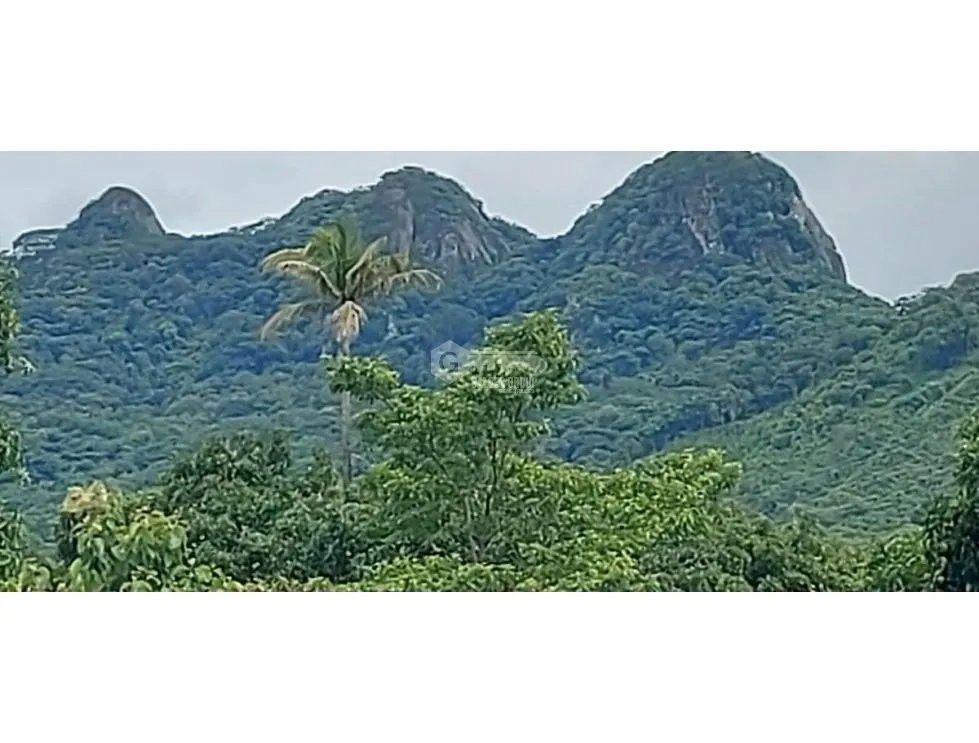 TERRENO / CHAME / EL ESPAVE / 4560 M2 / TOTALMENTE PLANO