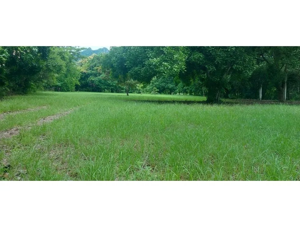 TERRENO / CHAME / EL ESPAVE / 4560 M2 / TOTALMENTE PLANO