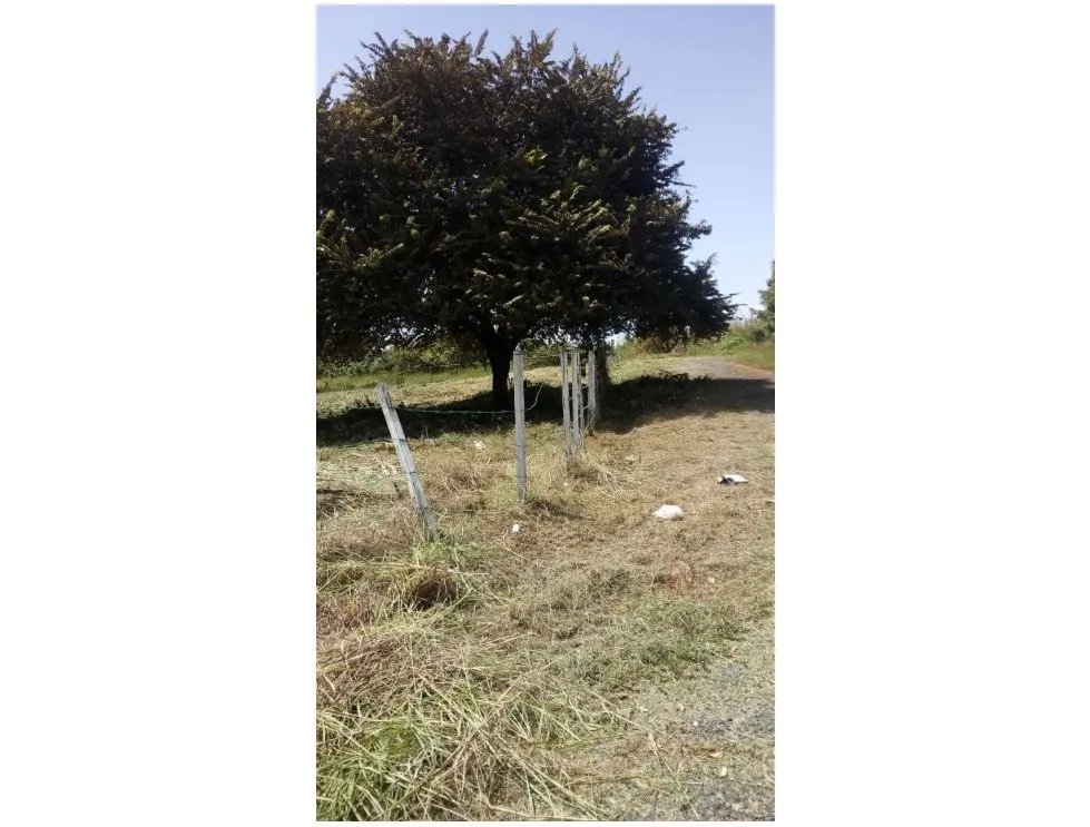 Building Lot for sale in Coronado