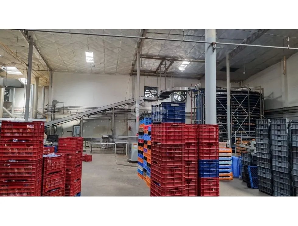 JUAN DIAZ / NEGOCIABLE / GALERA EN URB INDUSTRIAL / 4400 M2