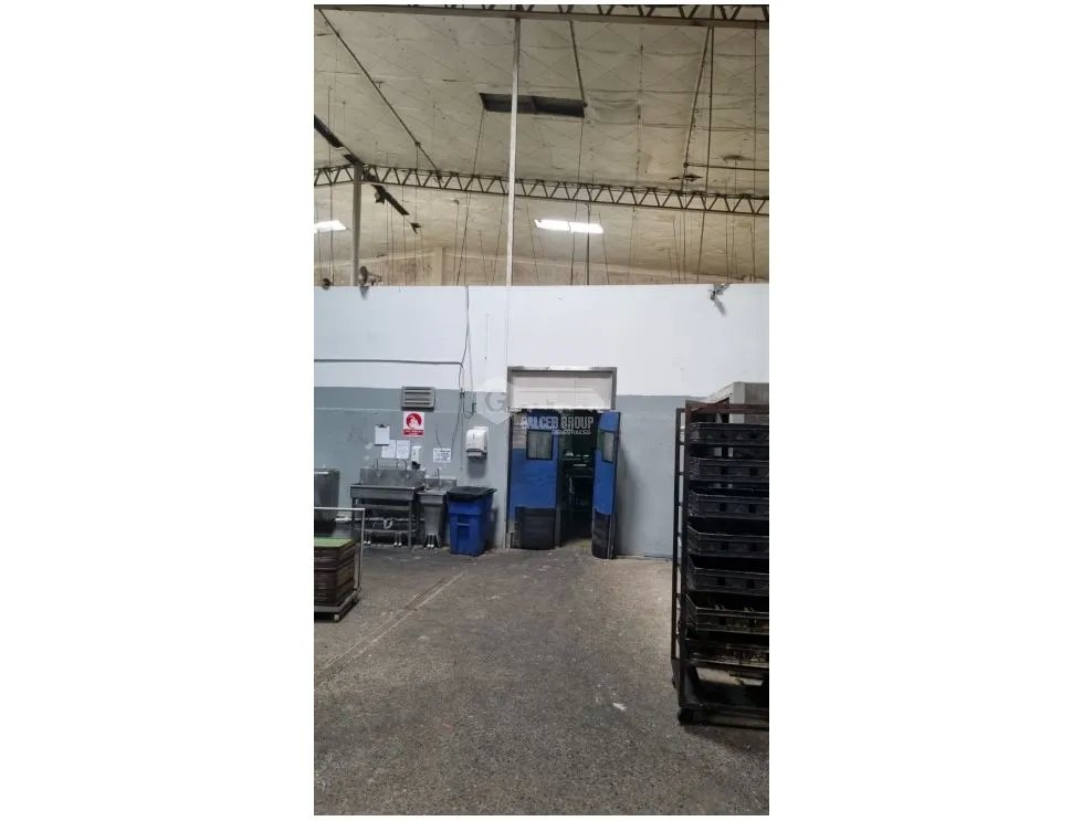 JUAN DIAZ / NEGOCIABLE / GALERA EN URB INDUSTRIAL / 4400 M2