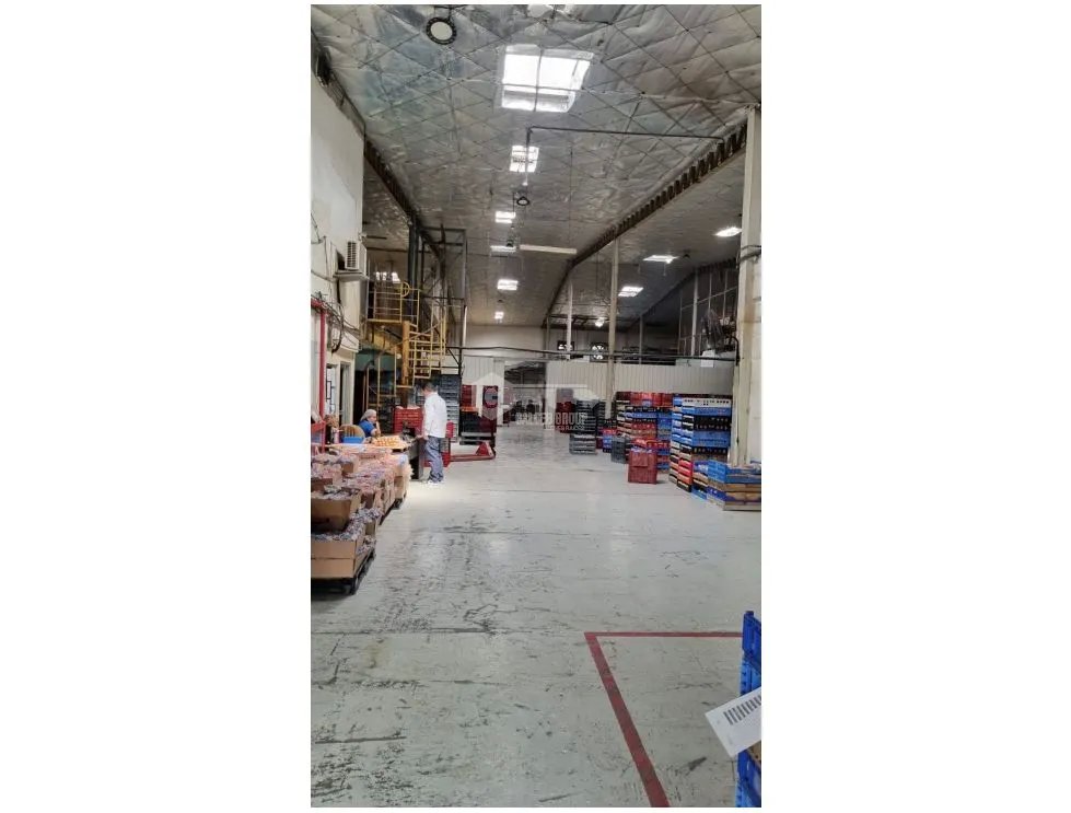 JUAN DIAZ / NEGOCIABLE / GALERA EN URB INDUSTRIAL / 4400 M2