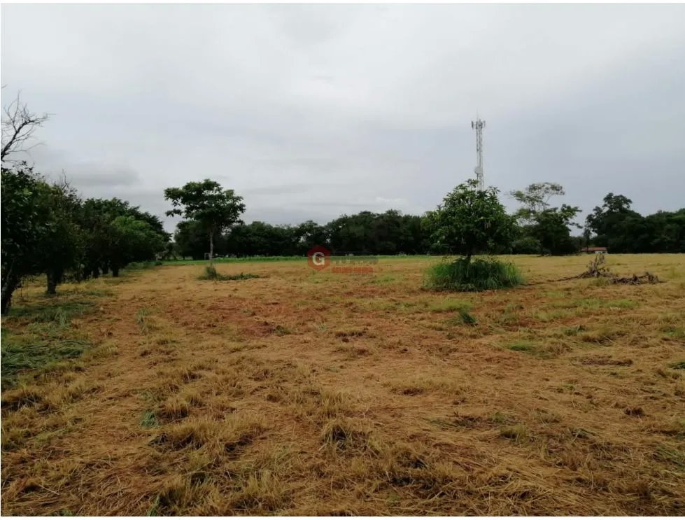 TERRENO / CORONADO BOULEVARD / 3 FINCAS / CERCA DEL MAR