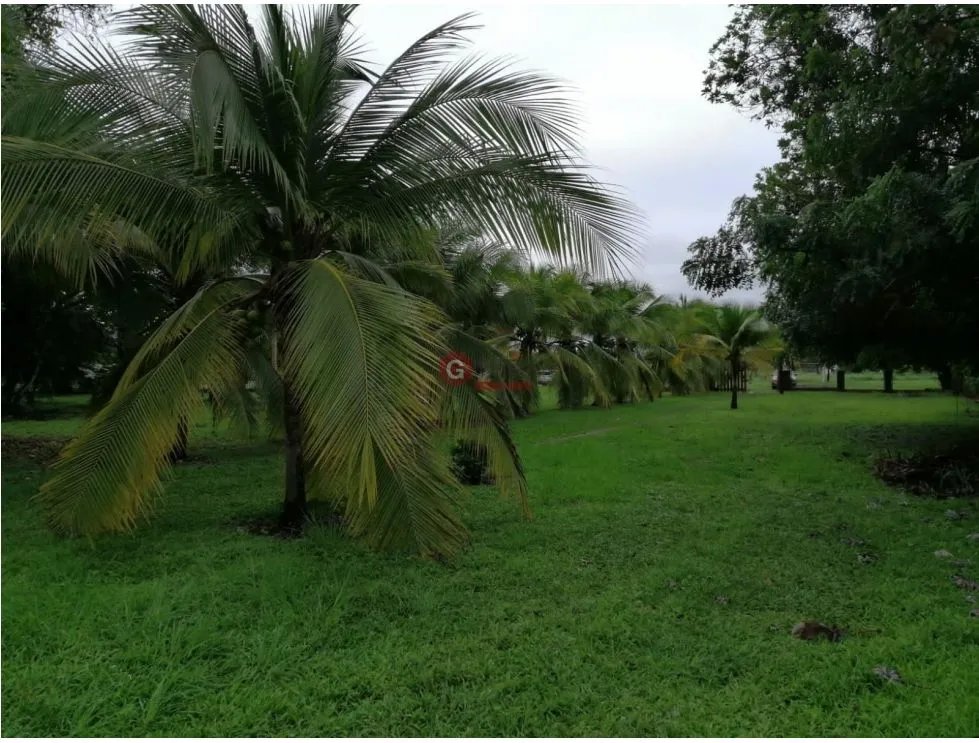 TERRENO / CORONADO BOULEVARD / 3 FINCAS / CERCA DEL MAR