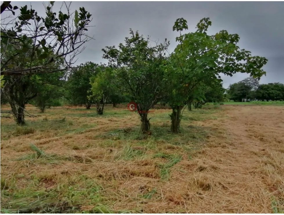 Land/Farm for sale in Coronado