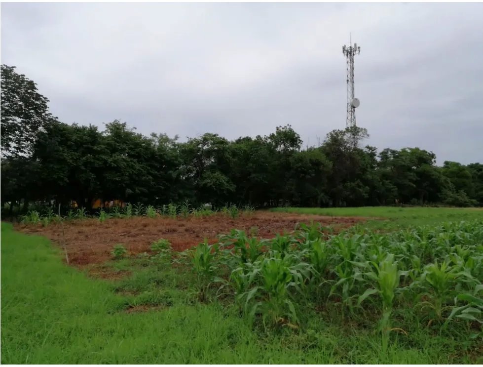 Land/Farm for sale in Coronado