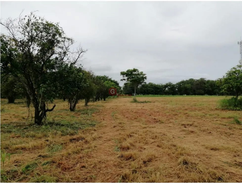 Land/Farm for sale in Coronado