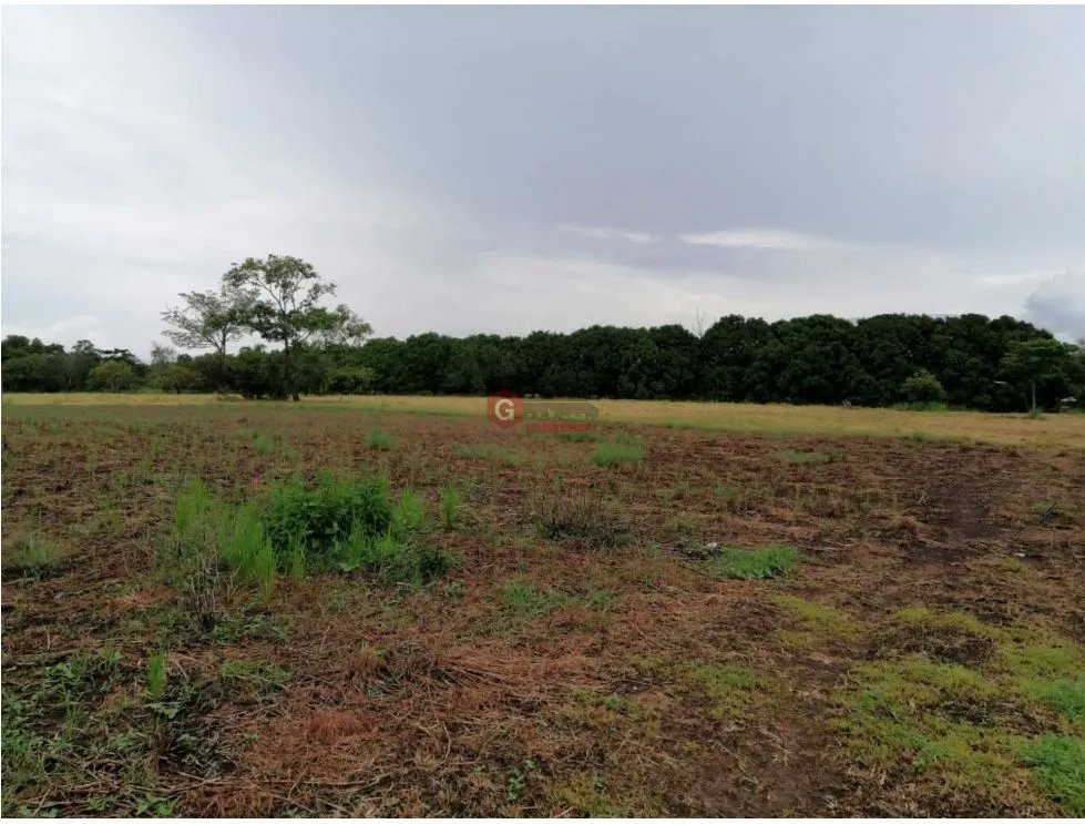 Land/Farm for sale in Coronado