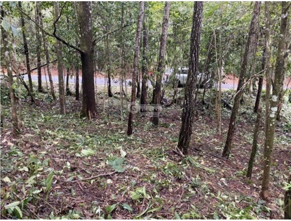 CERRO AZUL / FINCA ALTOS DEL GUARDIAN / 1844 M2