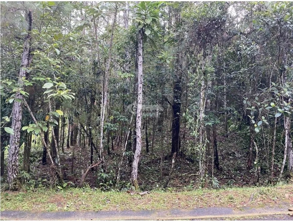 Building Lot for sale in Cerro Azul